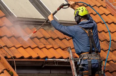 Démoussage et hydrofuge de toiture à Mandres-aux-Quatre-Tours